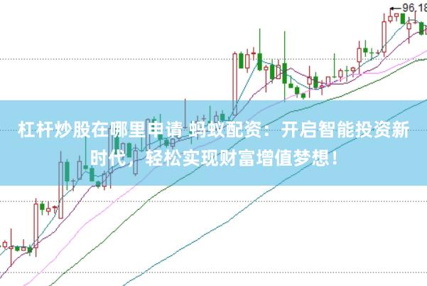 杠杆炒股在哪里申请 蚂蚁配资：开启智能投资新时代，轻松实现财富增值梦想！