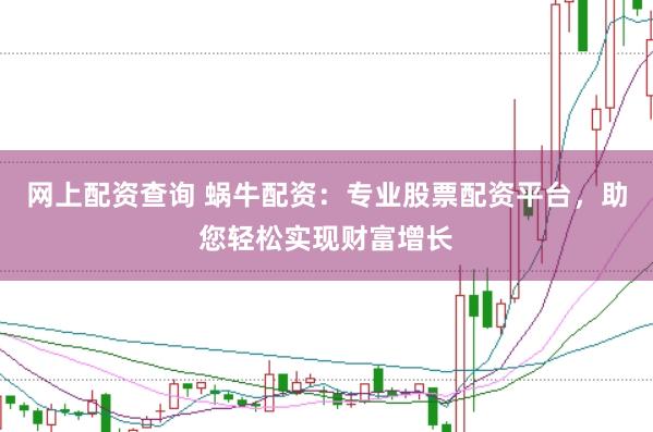 网上配资查询 蜗牛配资：专业股票配资平台，助您轻松实现财富增长