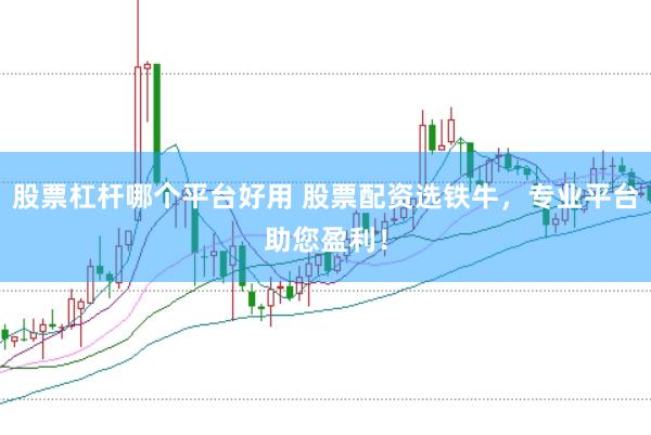 股票杠杆哪个平台好用 股票配资选铁牛，专业平台助您盈利！