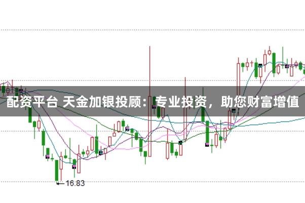 配资平台 天金加银投顾：专业投资，助您财富增值