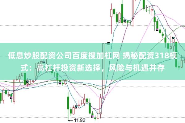 低息炒股配资公司百度搜加杠网 揭秘配资318模式：高杠杆投资新选择，风险与机遇并存