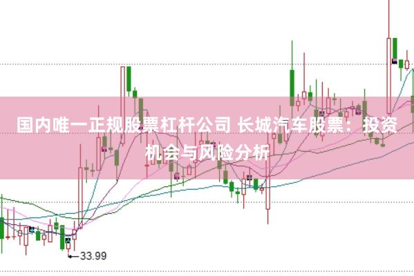 国内唯一正规股票杠杆公司 长城汽车股票：投资机会与风险分析