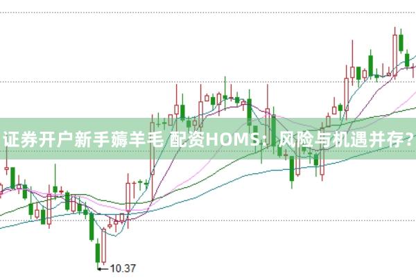 证券开户新手薅羊毛 配资HOMS：风险与机遇并存？