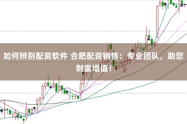如何辨别配资软件 合肥配资销售：专业团队，助您财富增值！