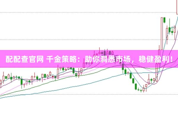 配配查官网 千金策略：助你洞悉市场，稳健盈利！