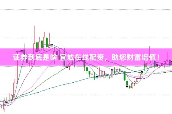 证券到底是啥 宜城在线配资，助您财富增值！