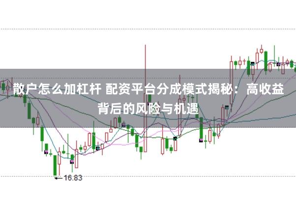 散户怎么加杠杆 配资平台分成模式揭秘：高收益背后的风险与机遇