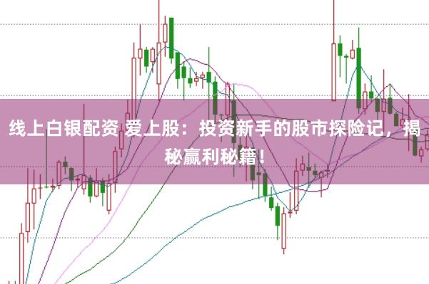 线上白银配资 爱上股：投资新手的股市探险记，揭秘赢利秘籍！