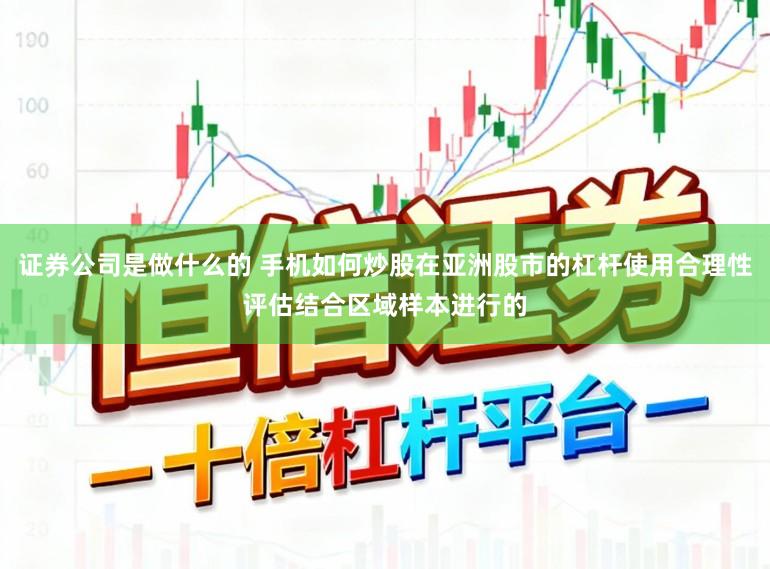证券公司是做什么的 手机如何炒股在亚洲股市的杠杆使用合理性评估结合区域样本进行的