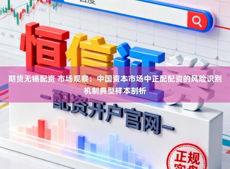 期货无锡配资 市场观察：中国资本市场中正配配资的风险识别机制典型样本剖析