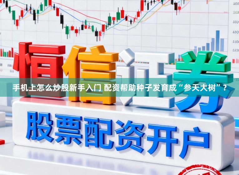 手机上怎么炒股新手入门 配资帮助种子发育成“参天大树”？