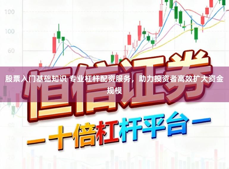 股票入门基础知识 专业杠杆配资服务，助力投资者高效扩大资金规模